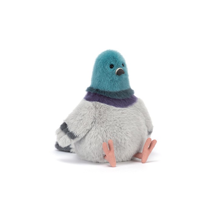 pigeon