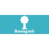 Romagnoli